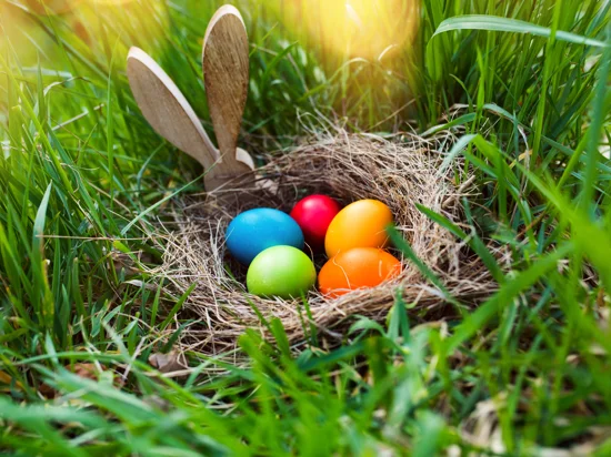 Osternest mit bunten Eiern im hohen Gras
